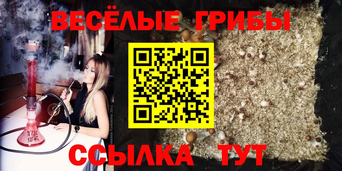 Топки  Галлюциногенные грибы Psilocybe  Псилоцибиновые грибы Psilocybe  Вход с VPN 