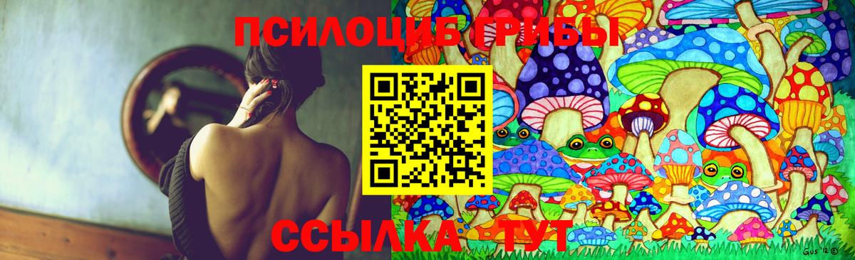 Галлюциногенные грибы Psilocybe Топки